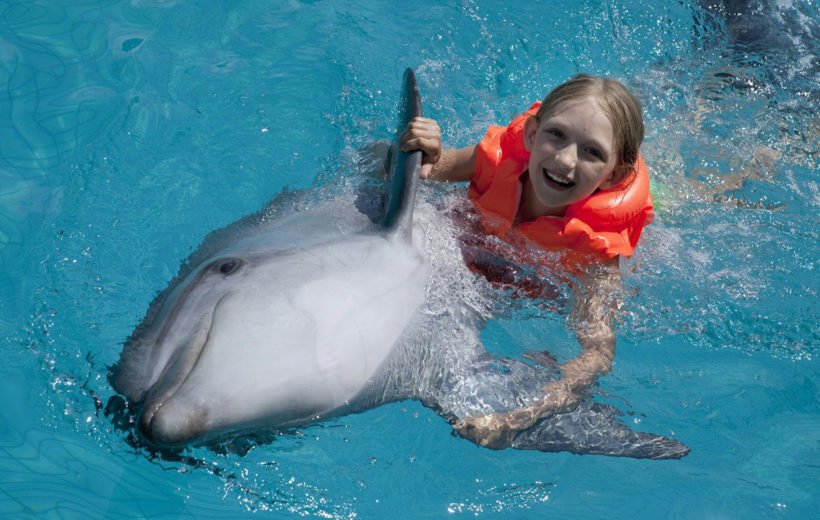 Dolphin House Snorkeling Trip from Marsa Alam