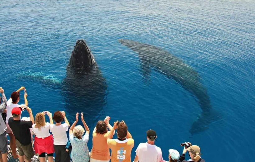 Private Hurghada Tours: When the Upgrade Is Worth It