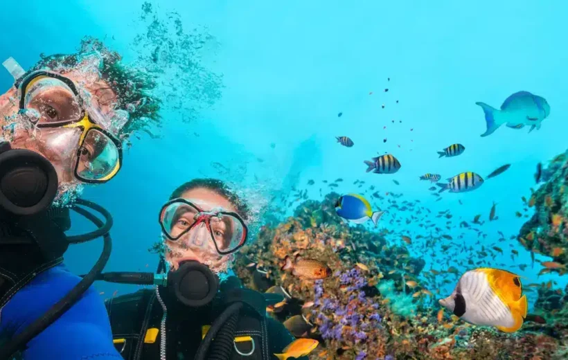 How to Choose a Safe Hurghada Excursion Operator