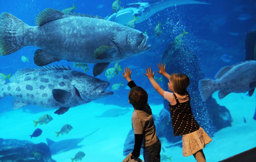 Hurghada Grand Aquarium with Kids: Planning Guide
