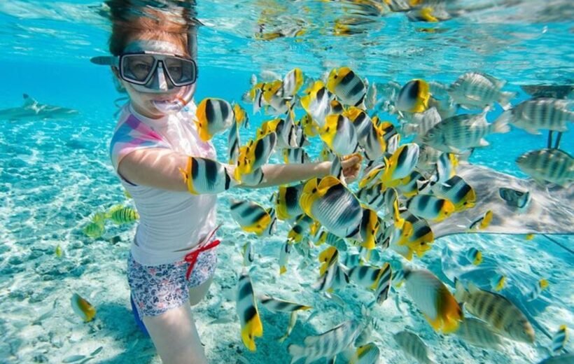 Best Snorkeling Trips from Hurghada for Beginners