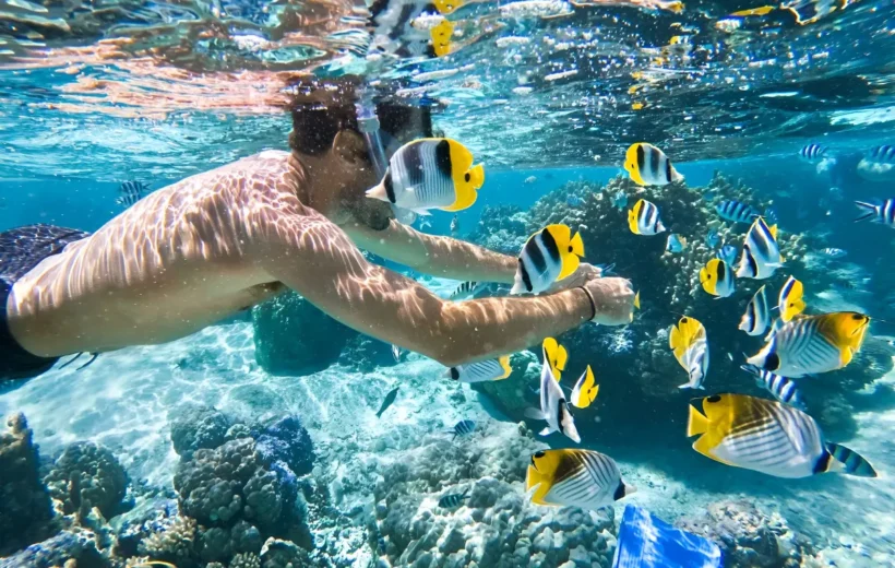 Snorkeling or Scuba Diving in Hurghada: Which Should You Try?